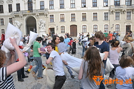 Bild 95
