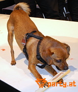Bild 209