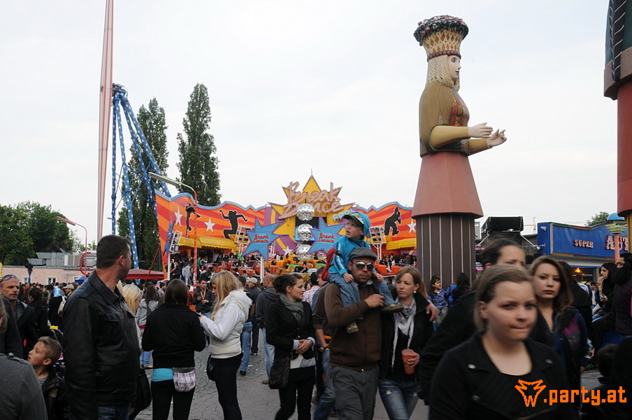 Bild 41