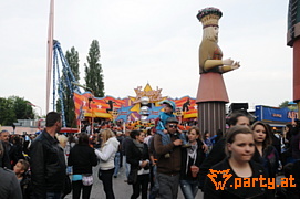 Bild 41