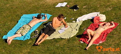 Bild 19