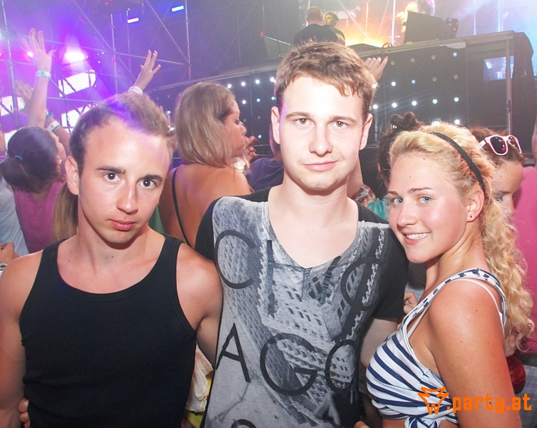 Bild 238