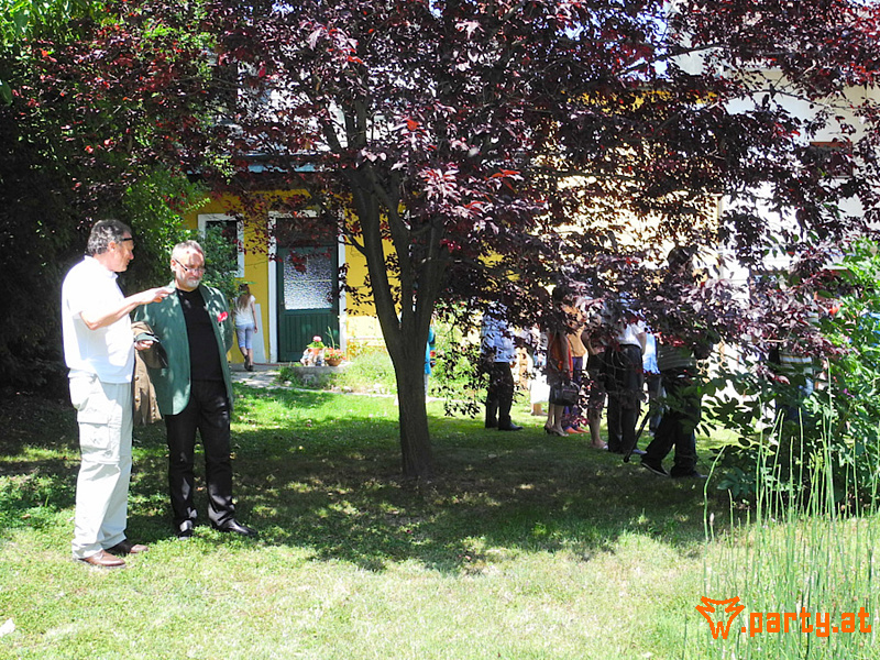 Bild 64