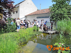 Bild 61