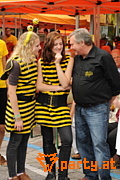 Bild 36