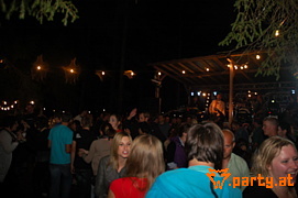 Bild 195