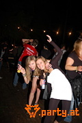 Bild 204