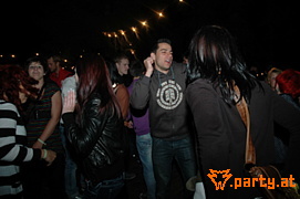 Bild 232