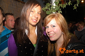 Bild 242
