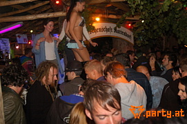 Bild 275