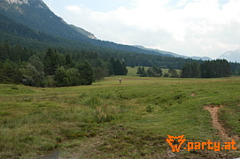 Bild 95