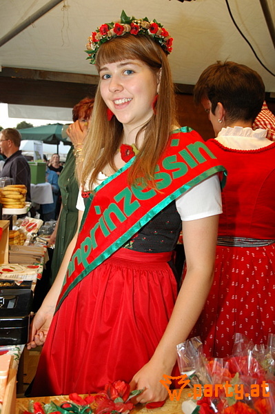Bild 41