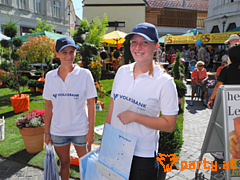Bild 31