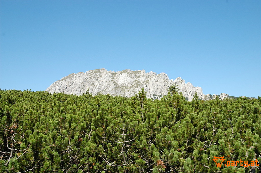 Bild 32