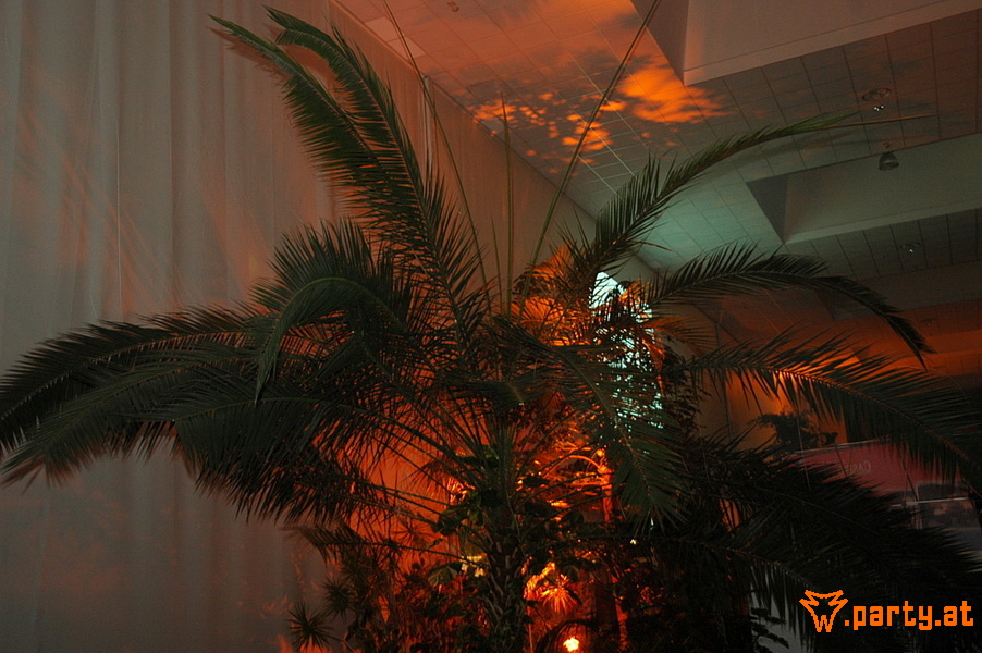 Bild 74