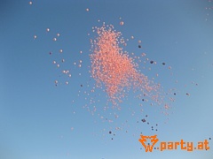 Bild 83