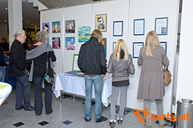 Bild 23