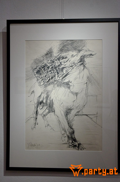 Bild 57