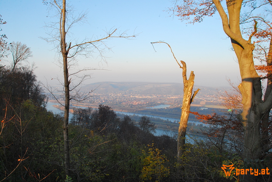 Bild 14