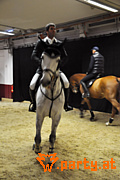 Bild 41