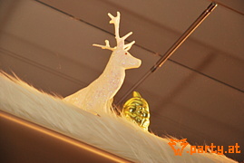 Bild 26