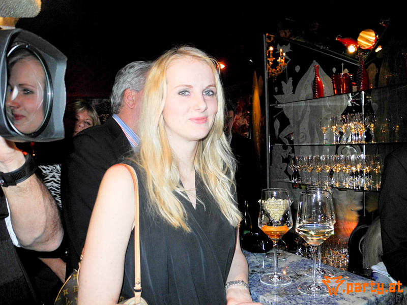 Bild 46 - Vernissage " Kunst im Babylon " / Herbert Stiegler, Babylon 1010 Wien Bild 46