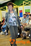 Bild 22