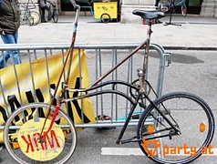Bild 51