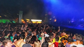Bild 81