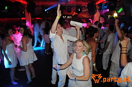 Bild 244