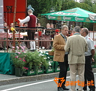 Bild 27