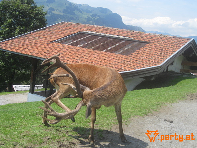 Bild 25