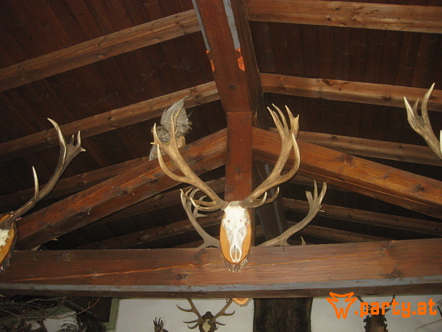 Bild 52
