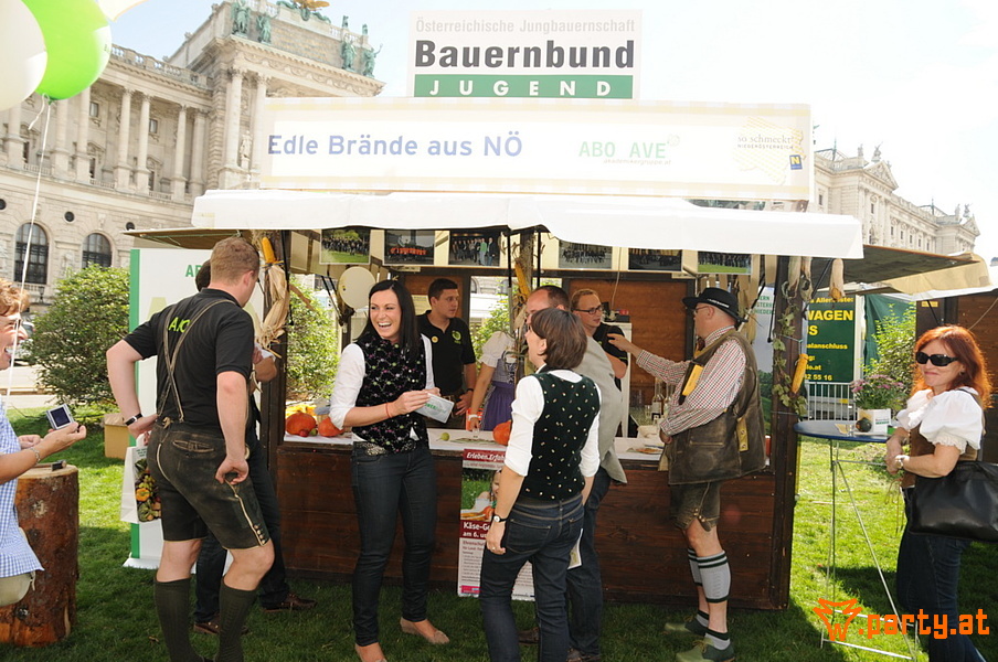 Bild 128 - Erntedankfest 2012, Heldenplatz Bild 128