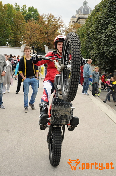 Bild 64