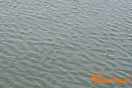 Bild 332