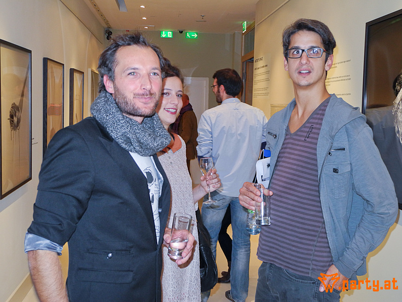 Bild 61