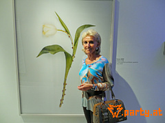 Bild 62