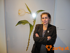 Bild 65