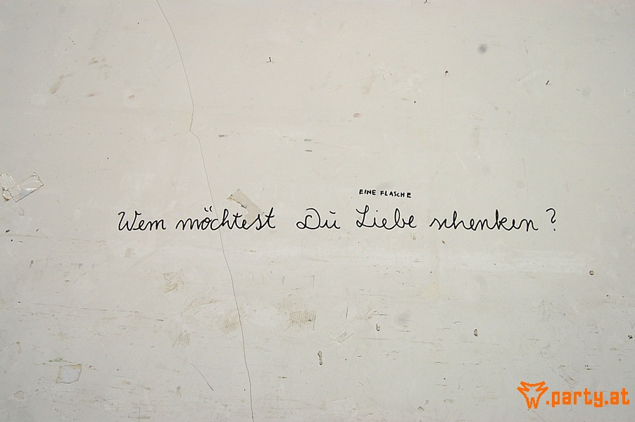 Bild 447