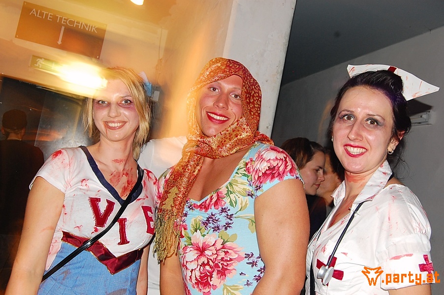 Bild 454
