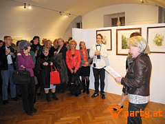Bild 51