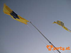 Bild 33