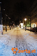 Bild 113
