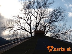 Bild 97