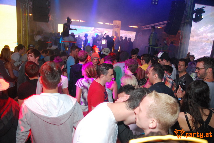 Bild 242