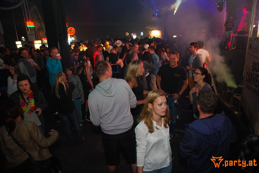Bild 249