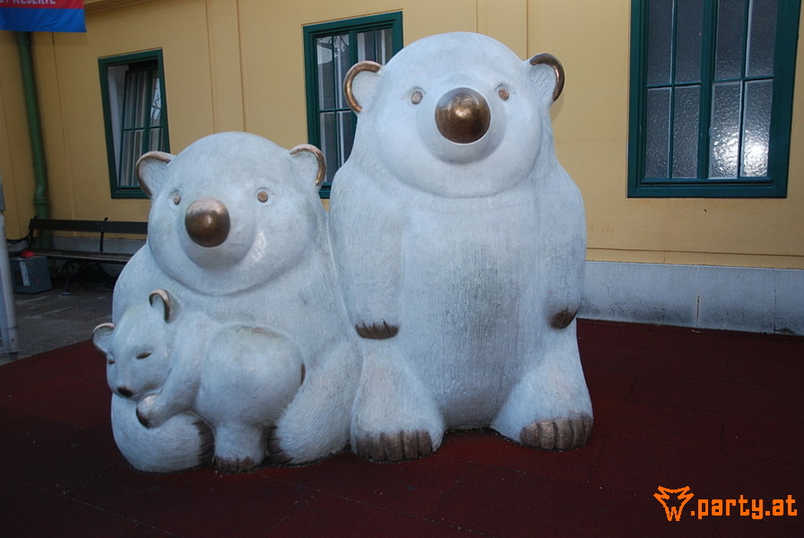 Bild 161