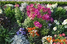 Bild 109