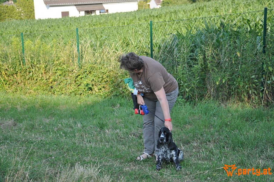 Bild 38